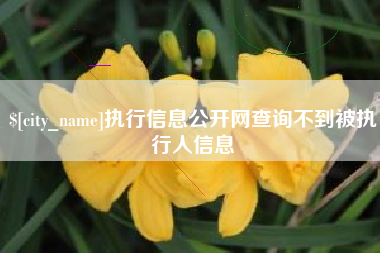 靖江执行信息公开网查询不到被执行人信息