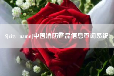 靖江中国消防产品信息查询系统1