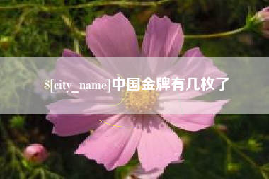 靖江中国金牌有几枚了