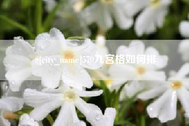 靖江579九宫格如何排