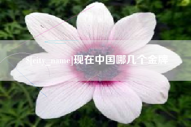 靖江现在中国哪几个金牌
