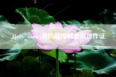 靖江消防证国网查询操作证