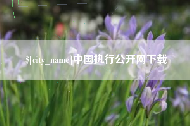 靖江中国执行公开网下载