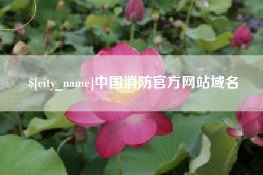 靖江中国消防官方网站域名