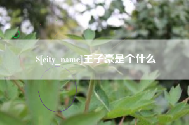 靖江王子豪是个什么