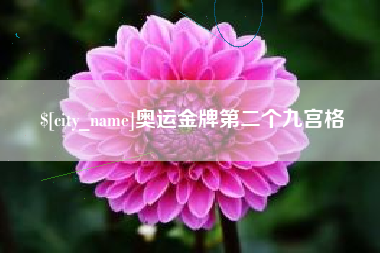 靖江奥运金牌第二个九宫格