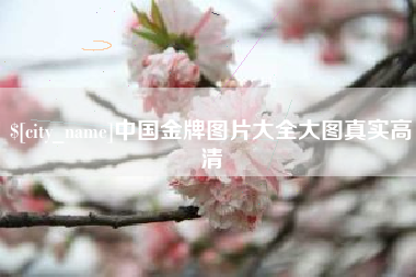靖江中国金牌图片大全大图真实高清