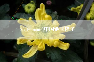 靖江中国金牌样子