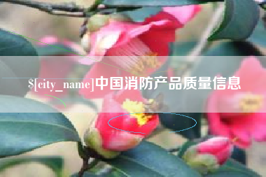 靖江中国消防产品质量信息