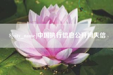 靖江中国执行信息公开网失信