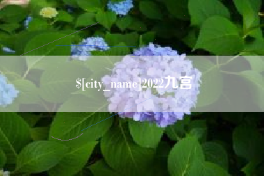 靖江2022九宫
