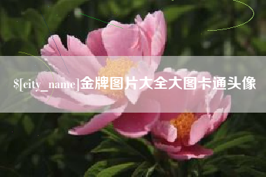 靖江金牌图片大全大图卡通头像