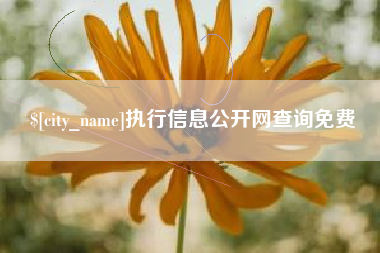 靖江执行信息公开网查询免费