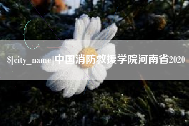 靖江中国消防救援学院河南省2020